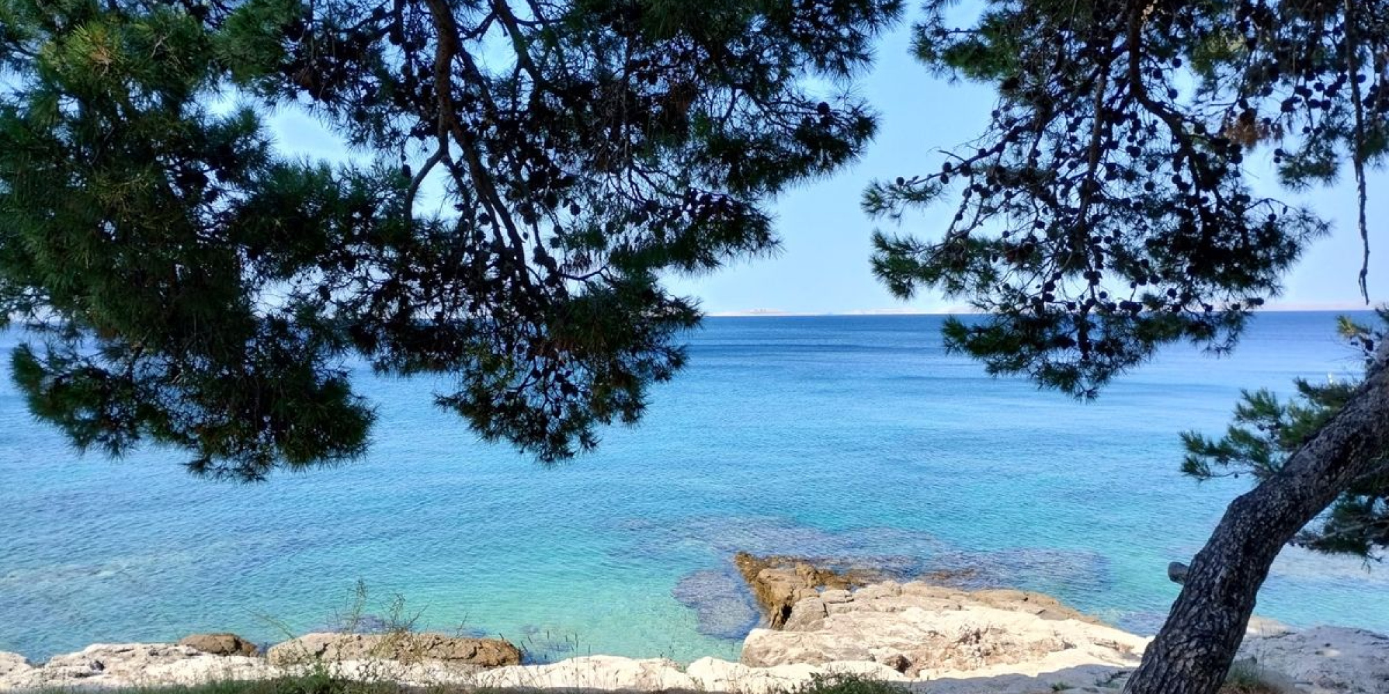 Seafront vacation in a house just for you 